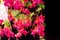 Grand Lustre Cascade Flower Power Fuchsia Fuchsia de VGnewtrend, Italie 4