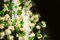 Petit Lustre Rond Flower Power Fuchsia Rose-Crème de Vgnewtrend, Italie 7