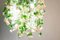 Großer Runder Flower Power Fuchsia Kaskaden-Kronleuchter in Rosa-Creme von Vgnewtrend, Italien 7
