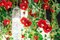 Großer runder Flower Power Wild Red Roses Kronleuchter von Vgnewtrend, Italien 7