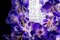 Lustre Flower Power Vanda Carré de Vgnewtrend, Italie 4