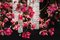 Flower Power Fuchsia Magnolia Chandelier from VGnewtrend, Italy 5