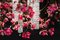Flower Power Fuchsia Magnolia Chandelier from VGnewtrend, Italy, Image 5
