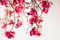Flower Power Fuchsia Magnolia Chandelier from VGnewtrend, Italy 9
