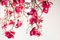 Lampadario Flower Power magnolia fucsia di Vgnewtrend, Italia, Immagine 9