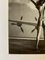 Helmut Newton - "Female nude study - Aviation" 1998, Image 5
