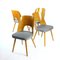 Dining Chairs by Oswald Haerdtl for Ton, Czechoslovakia, 1950s, Set of 4, Image 12