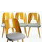 Dining Chairs by Oswald Haerdtl for Ton, Czechoslovakia, 1950s, Set of 4, Image 11