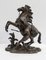 Bronze Cheval de Marly after G. Coustou, 19th Century, Image 1