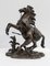 Cheval de Marly de bronce según G. Coustou, siglo XIX, Imagen 1