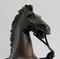 Cheval de Marly de bronce según G. Coustou, siglo XIX, Imagen 15