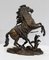 Cheval de Marly de bronce según G. Coustou, siglo XIX, Imagen 23