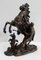 Bronze Cheval de Marly after G. Coustou, 19th Century, Image 2