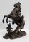 Cheval de Marly de bronce según G. Coustou, siglo XIX, Imagen 2