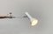Schweizer Mid-Century Space Age Tischlampe von Swiss Lamps International 26