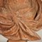 Madame Du Barry Bust in Terracotta 6