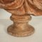 Busto de Madame Du Barry en terracota, Imagen 8