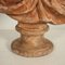 Madame Du Barry Bust in Terracotta 8