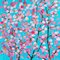 Dany Soyer, Fleurs de cerisier, 2021 1