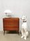 Mid-Century Danish Teak Cabinet from Deens Ladekast 2