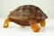 Vintage French Crystal Glass Tortoise Paperweight from Daum Nancy, 1980s 5