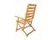 Folding Chairs by Ico & Luisa Parisi for Reguitti, Italy, 1970s, Set of 2, Image 7