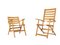 Folding Chairs by Ico & Luisa Parisi for Reguitti, Italy, 1970s, Set of 2, Image 1