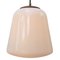 Vintage Industrial White Opaline Milk Glass Pendant Light from Philips, Image 2