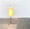 Mid-Century Minimalist Tripod Floor Lamp 41
