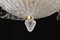 Italian Murano Glass Leave Flush Mount or Ceiling Light 4