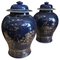 Chinese Powder-Blue Gilt-Decorated Jars, 18th Century, Set of 2 1