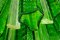 Mid-Century Tronchi Kronleuchter aus grünem Muranoglas, 1960er 12
