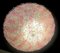 Lampada da soffitto in vetro di Murano rosa e ghiaccio di Barovier & Toso, Immagine 7