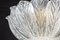 Italian Murano Glass Leave Flushmount or Ceiling Lights, Set of 2 9