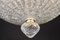 Italian Murano Glass Leave Flushmount or Ceiling Lights, Set of 2 11