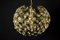 Lámpara de araña en forma de globo de oro y cristal de Gaetano Sciolari, 1960, Imagen 3