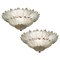 Italian Murano Glass Leaf Chandelier, Image 1