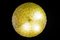 Deckenlampe aus Murano Glas in Gold mit Eisblumen Korb von Barovier & Toso 16