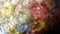 Mehrfarbige Mid-Century Blumenglas Deckenlampe von Barovier E Toso, 1950er 2