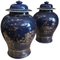 Chinese Powder-Blue Gilt-Decorated Jars, 18th Century, Set of 2 1