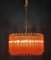 Coral Triedi Crystal Prism Chandelier 6