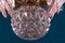 Lampadari a forma di palma in vetro di Murano rosa, set di 2, Immagine 4