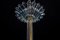 Lámparas colgantes o linternas Art Déco de cristal de Murano y latón de Barovier. Juego de 2, Imagen 9