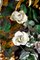 Italienischer Korb Kronleuchter mit bunten Porzellan Blumen, 1940er 10