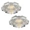 Italian Murano Glass Leaf Flushmount or Ceiling Light 1