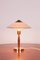 Lampada da tavolo Mid-Century in teak e ottone, anni '60, Immagine 3