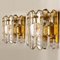 Palazzo Wall Light in Gilt Brass and Glass by J. T. Kalmar, Image 5