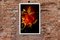 Rosa roja en luz vintage, Impresión Giclée de edición limitada, Naturaleza muerta vertical, 2021, Imagen 6