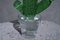 Grüne Murano Formia Kunstglas Kaktuspflanze von Marta Marzotto, 1990er 2