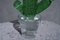 Murano Formia Green Art Glass Cactus Plant by Marta Marzotto, 1990s, Image 2